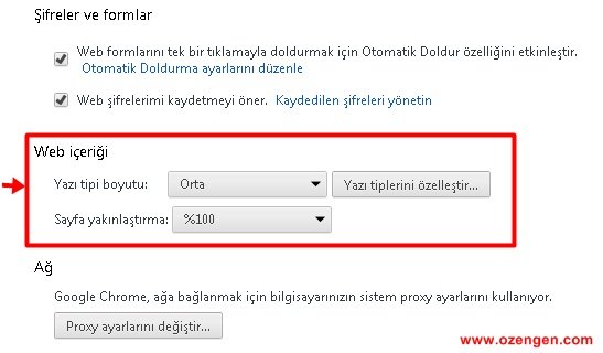 web içeriği