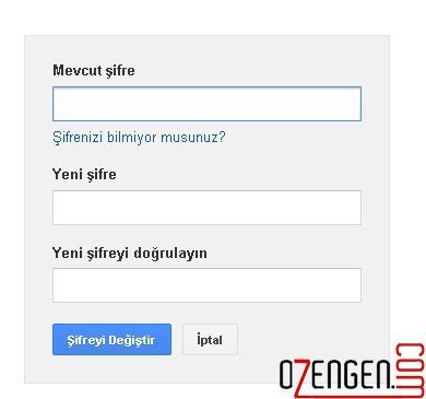 google şifre