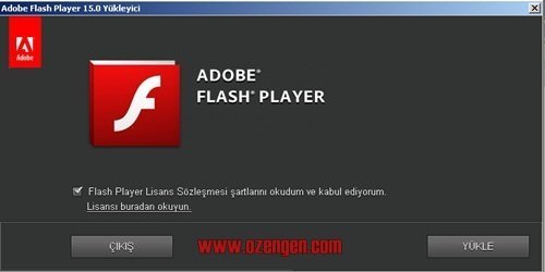 flash player 1