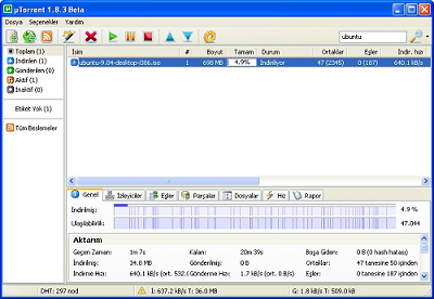 torrent indirme 1
