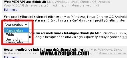 yeni profil yonetimi