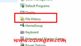 file history