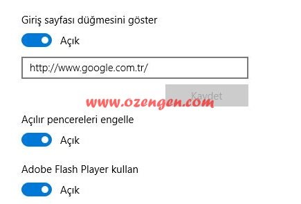 edge giris sayfa