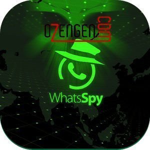 whatsapp hack