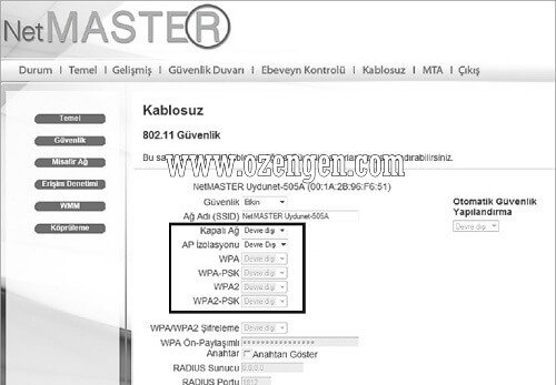 netmaster-uydunet-kurulumu-2