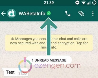 Whatsapp onayli hesap