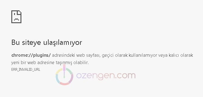Chrome pluginse nasıl girilir