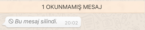 Bu mesaj silindi